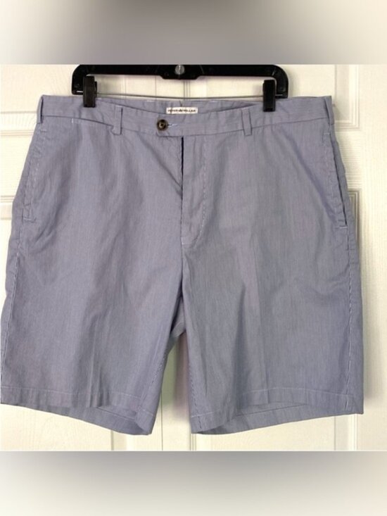 Peter Millar Other - Peter Millar Man’s Shorts 9” Pinstripe Cotton-Blend Shorts size 38